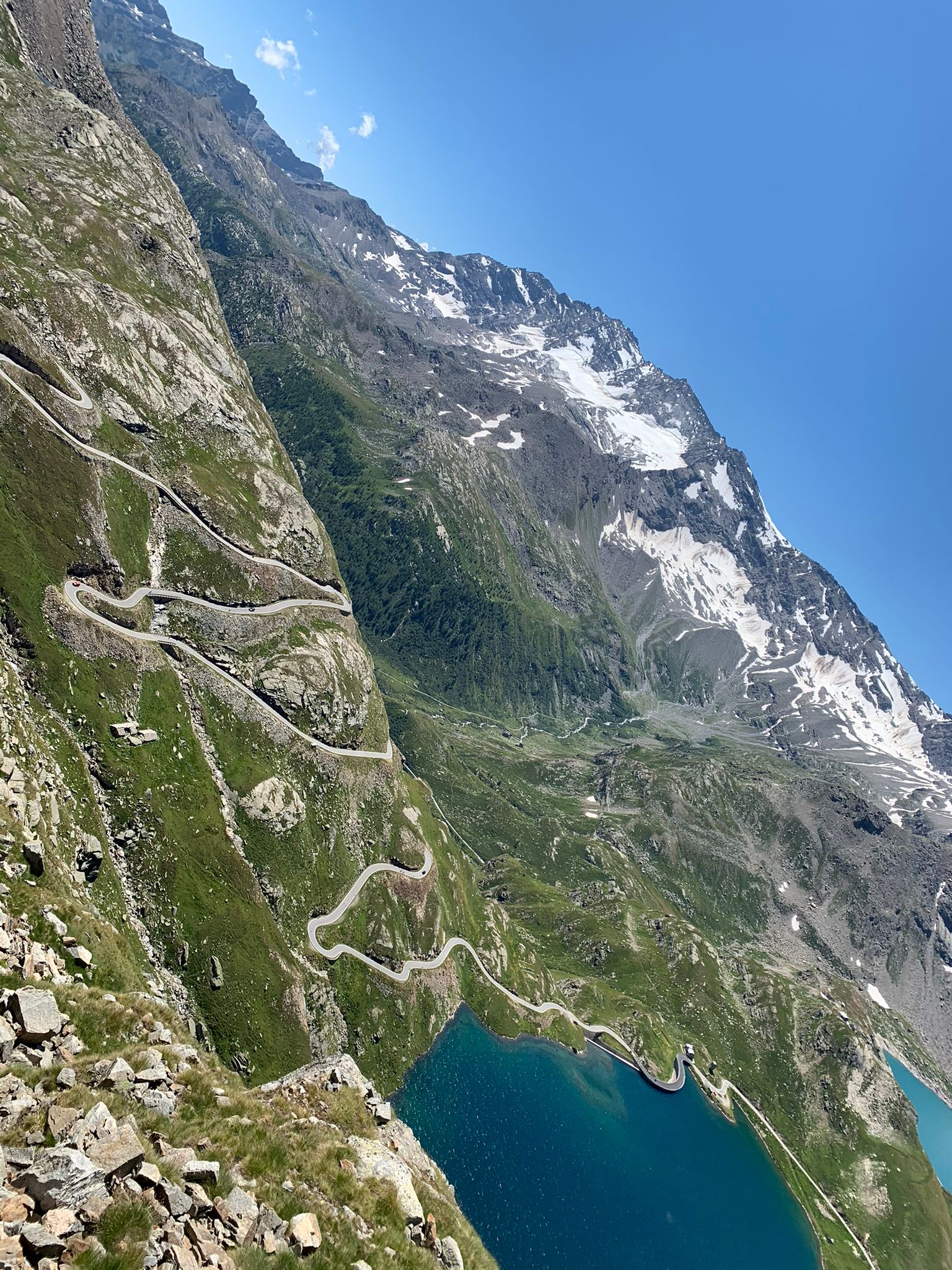 De cols van Krol